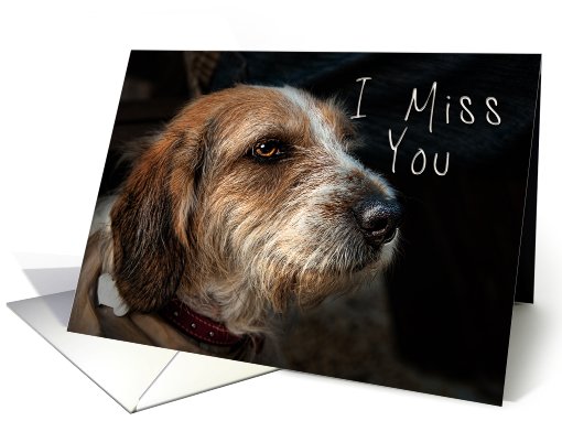 I Miss You, dog card (614775)