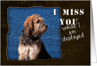 I Miss You While I am Deployed, Dog card