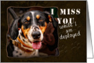 I Miss You While I am Deployed, Dog card