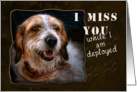 I Miss You While I am Deployed, Dog card