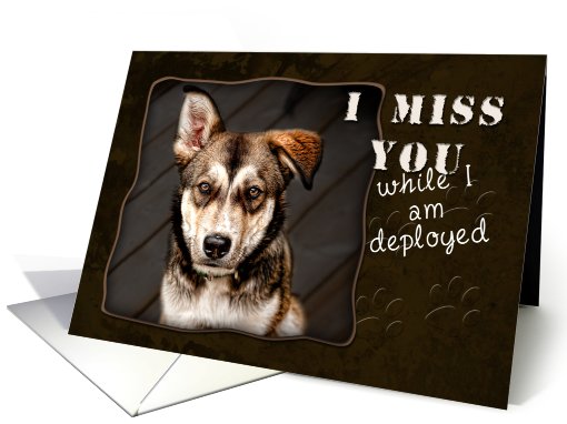 I Miss You While I am Deployed, Dog card (614870)