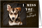 I Miss You While I am Deployed, Dog card