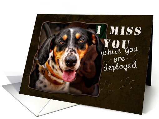 I Miss You While You are Deployed, Dog card (614872)