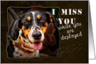 I Miss You While You are Deployed, Dog card