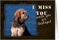 I Miss You While You are Deployed, Dog card