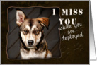 I Miss You While You are Deployed, Dog card