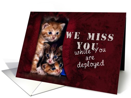 We Miss You While You are Deployed, Kittens card (614915)