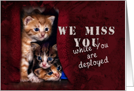 We Miss You While You are Deployed, Kittens card