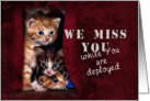 We Miss You While You are Deployed, Kittens card