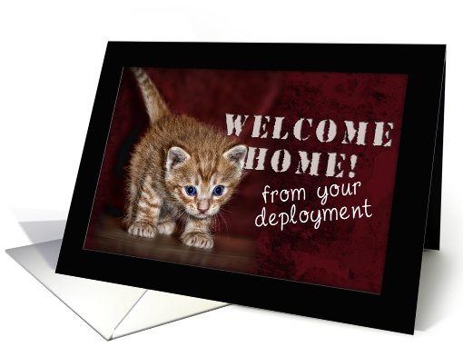 Welcome Home from your Deployment, Kitten card (614917)