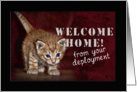 Welcome Home from your Deployment, Kitten card