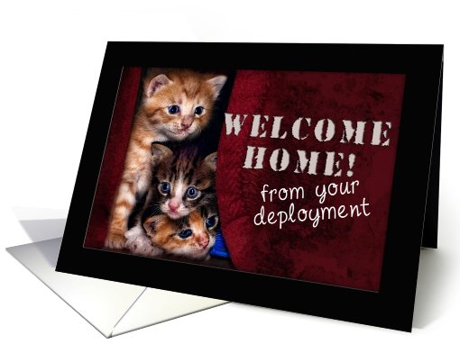 Welcome Home from your Deployment, kittens card (614920)