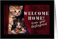 Welcome Home from your Deployment, kittens card