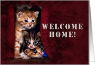 Welcome Home, Kittens card