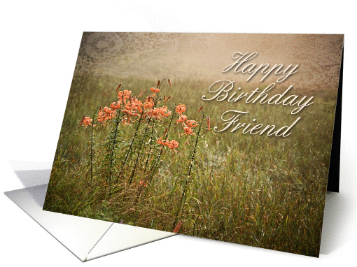 Happy Birthday Friend, Flowers in Field card (615401)