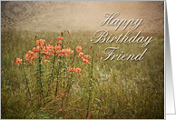 Happy Birthday Friend, Flowers in Field card
