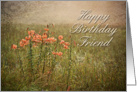 Happy Birthday Friend, Flowers in Field card