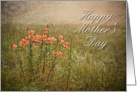 Happy Mother’s Day, Flowers in Field card