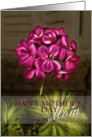 Happy Mother’s Day Mom, Pink Flower card