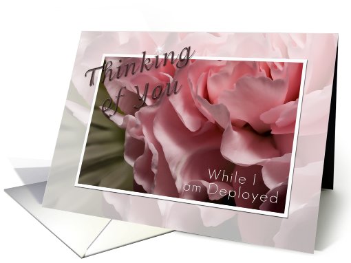 Thinking of you While I am Deployed, Pink Flower card (615529)