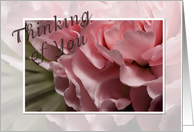 Thinking of You, Pink Flower card