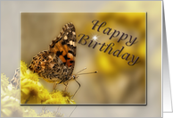 Happy Birthday, Butterfly card