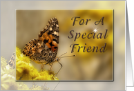 For a Special Friend, Butterfly card