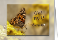 Get Well Soon, Butterfly card
