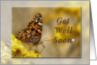 Get Well Soon, Butterfly card