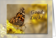 Good Luck, Butterfly card