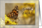 Good Luck, Butterfly card