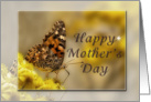 Happy Mother’s Day, Butterfly card