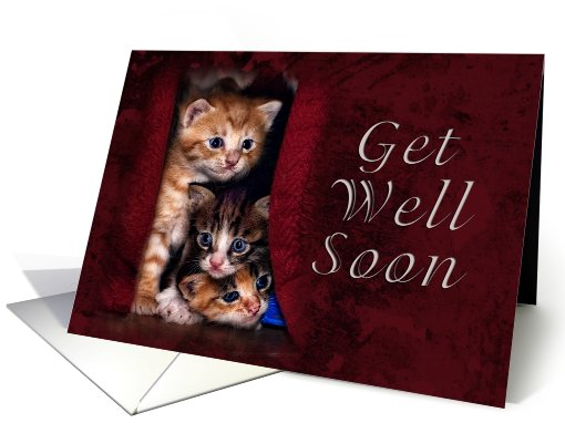 Get Well Soon, Kittens card (616018)