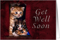 Get Well Soon, Kittens card