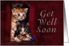 Get Well Soon, Kittens card