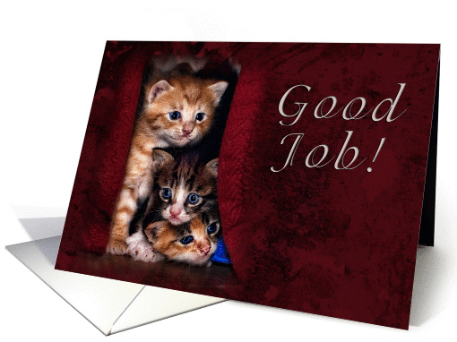 Good Job, Kittens card (616019)