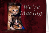 We're Moving,...