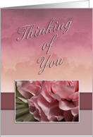 Thinking of You, Pink Flower card
