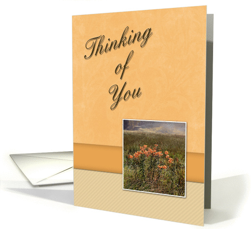 Thinking of You, Flowers in Field card (616147)
