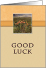 Good Luck, Flowers in Field card
