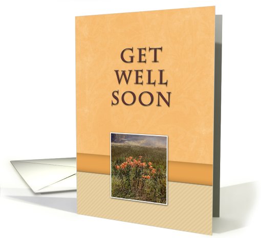 Get Well Soon, Flowers in Field card (616152)