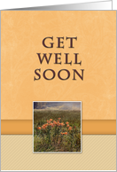 Get Well Soon, Flowers in Field card