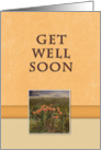 Get Well Soon, Flowers in Field card