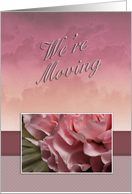 We're Moving, Pink...