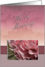 We’re Moving, Pink Flower card
