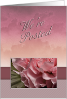 We’re Posted, Pink Flower card