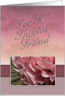 For a Special Friend, Pink Flower card