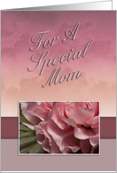 For a Special Mom,...