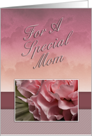 For a Special Mom, Pink Flower card