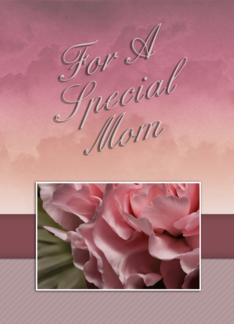 For a Special Mom,...